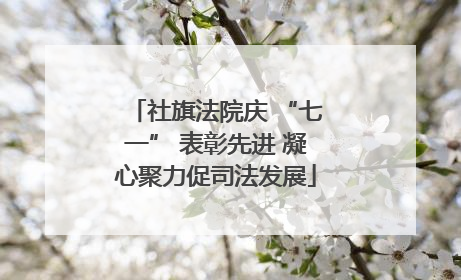 社旗法院庆 “七一” 表彰先进 凝心聚力促司法发展