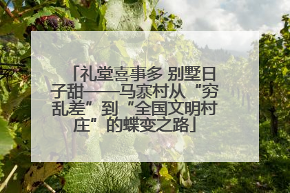 礼堂喜事多 别墅日子甜——马寨村从“穷乱差”到“全国文明村庄”的蝶变之路