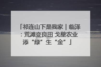 祁连山下是我家｜临泽：荒滩变良田 戈壁农业添“绿”生“金”