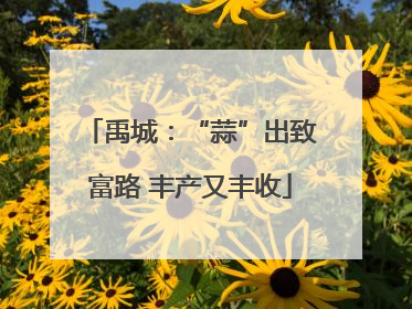 禹城：“蒜”出致富路 丰产又丰收