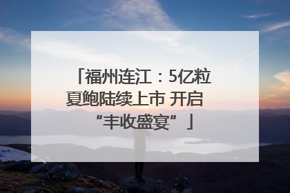 福州连江：5亿粒夏鲍陆续上市 开启“丰收盛宴”