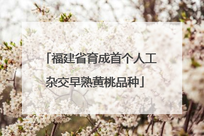 福建省育成首个人工杂交早熟黄桃品种