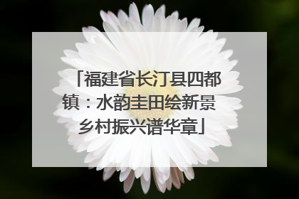 福建省长汀县四都镇：水韵圭田绘新景 乡村振兴谱华章