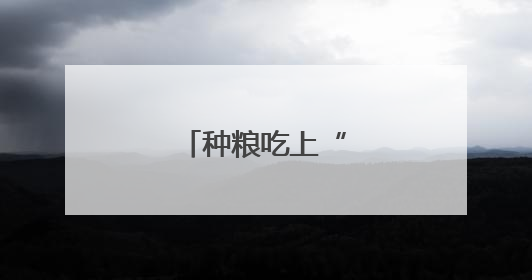 种粮吃上“定心丸”