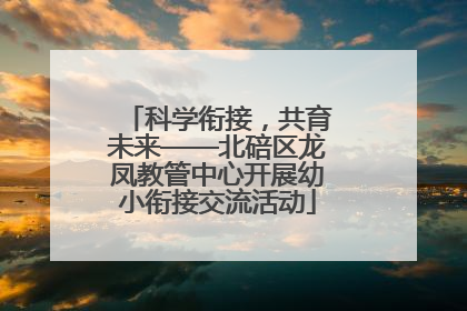 科学衔接，共育未来——北碚区龙凤教管中心开展幼小衔接交流活动