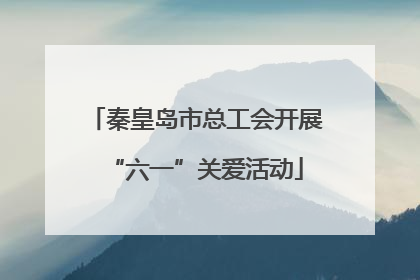 秦皇岛市总工会开展“六一”关爱活动
