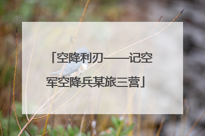 空降利刃——记空军空降兵某旅三营