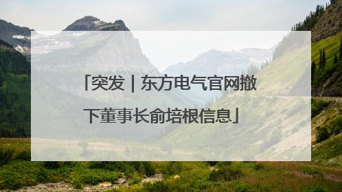 突发｜东方电气官网撤下董事长俞培根信息