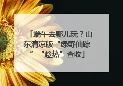 端午去哪儿玩？山东清凉版“绿野仙踪”“趁热”查收