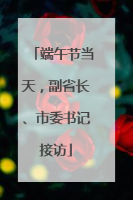 端午节当天，副省长、市委书记接访