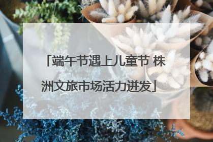 端午节遇上儿童节 株洲文旅市场活力迸发