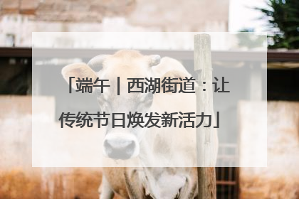 端午｜西湖街道：让传统节日焕发新活力