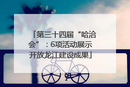 第三十四届“哈洽会”：6项活动展示开放龙江建设成果