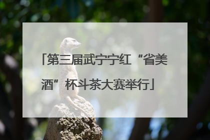 第三届武宁宁红“省美酒”杯斗茶大赛举行