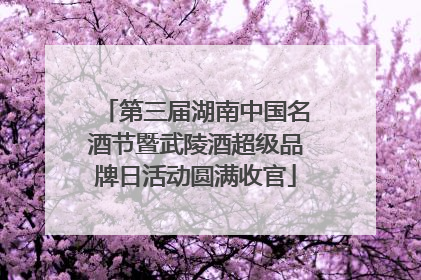 第三届湖南中国名酒节暨武陵酒超级品牌日活动圆满收官