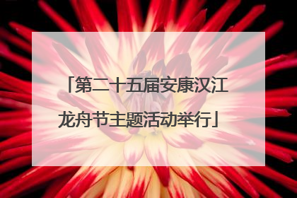 第二十五届安康汉江龙舟节主题活动举行