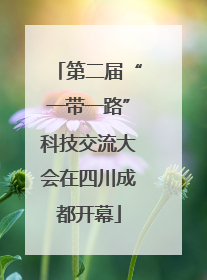 第二届“一带一路”科技交流大会在四川成都开幕