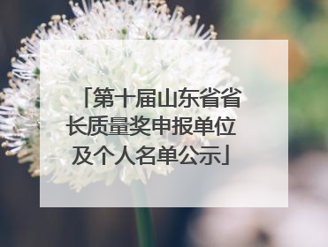 第十届山东省省长质量奖申报单位及个人名单公示
