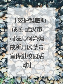 翼护雏鹰助成长 武汉市司法局何湾强戒所开展禁毒宣传进校园活动