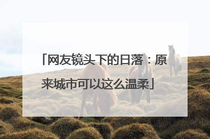 网友镜头下的日落：原来城市可以这么温柔