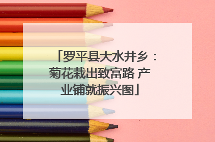 罗平县大水井乡：菊花栽出致富路 产业铺就振兴图