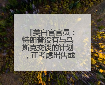 美白宫官员：特朗普没有与马斯克交谈的计划，正考虑出售或赠送他的红色特斯拉