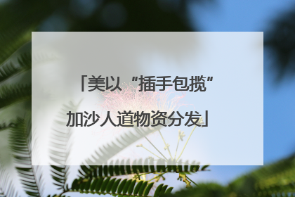 美以“插手包揽”加沙人道物资分发