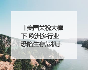 美国关税大棒下 欧洲多行业恐陷生存危机