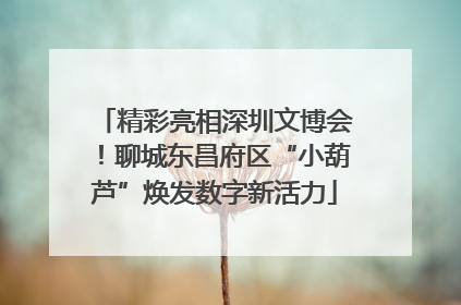 精彩亮相深圳文博会！聊城东昌府区“小葫芦”焕发数字新活力