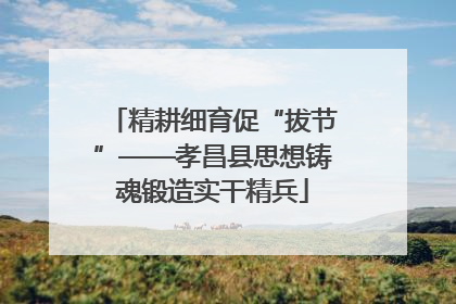 精耕细育促“拔节”——孝昌县思想铸魂锻造实干精兵