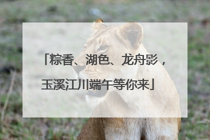 粽香、湖色、龙舟影，玉溪江川端午等你来