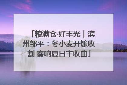 粮满仓·好丰光｜滨州邹平：冬小麦开镰收割 奏响夏日丰收曲