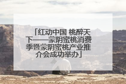 红动中国 桃醉天下——蒙阴蜜桃消费季暨蒙阴蜜桃产业推介会成功举办