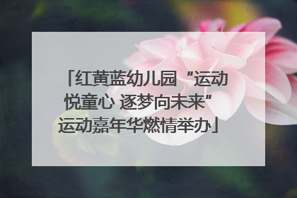 红黄蓝幼儿园“运动悦童心 逐梦向未来”运动嘉年华燃情举办