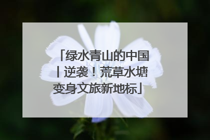 绿水青山的中国丨逆袭！荒草水塘变身文旅新地标