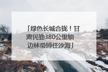绿色长城合拢！甘肃民勤380公里锁边林带缚住沙海
