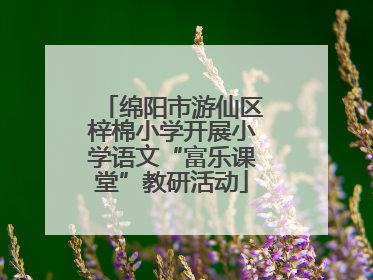 绵阳市游仙区梓棉小学开展小学语文“富乐课堂”教研活动