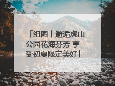 组图丨邂逅虎山公园花海芬芳 享受初夏限定美好