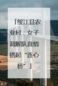 绥江县农业村：女子调解队真情搭起“连心桥”
