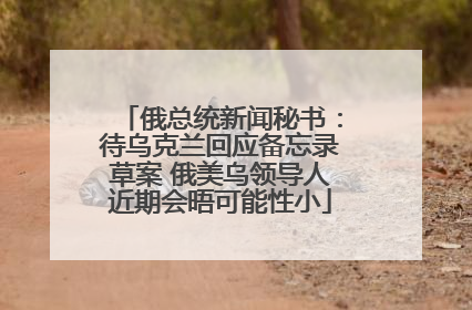 俄总统新闻秘书：待乌克兰回应备忘录草案 俄美乌领导人近期会晤可能性小