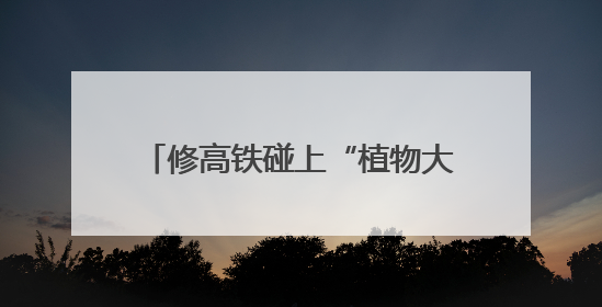 修高铁碰上“植物大熊猫”？他们这么干