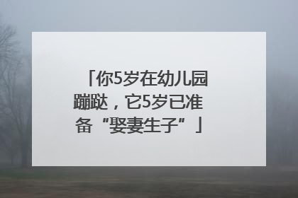 你5岁在幼儿园蹦跶，它5岁已准备“娶妻生子”