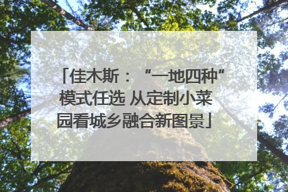 佳木斯：“一地四种” 模式任选 从定制小菜园看城乡融合新图景