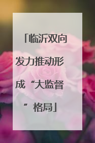 临沂双向发力推动形成“大监督”格局