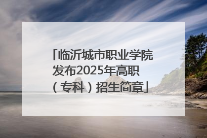 临沂城市职业学院发布2025年高职（专科）招生简章