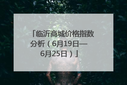 临沂商城价格指数分析（6月19日—6月25日）