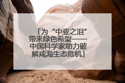 为“中亚之泪”带来绿色希望——中国科学家助力破解咸海生态危机