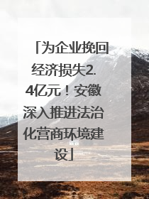 为企业挽回经济损失2.4亿元！安徽深入推进法治化营商环境建设
