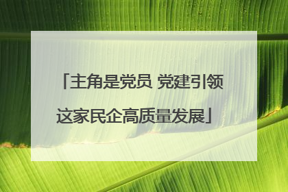 主角是党员 党建引领这家民企高质量发展