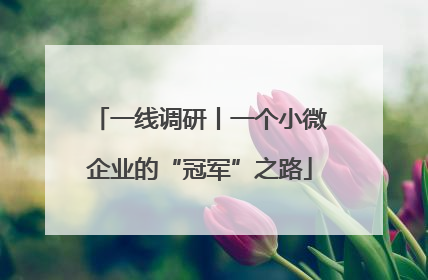 一线调研丨一个小微企业的“冠军”之路